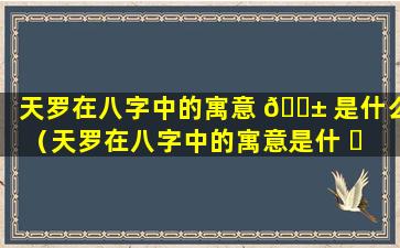 天罗在八字中的寓意 🐱 是什么（天罗在八字中的寓意是什 ☘ 么意思）